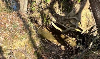 0 Lot 2B Police Tower Rd Lot 2B, Appomattox, VA 24522