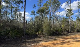 Monogahela Avenue, Alford, FL 32420