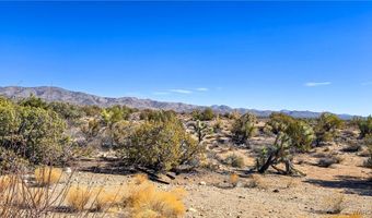 6962 E Black Kettle Dr, Yucca, AZ 86438