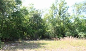 5929 Nichols Rd, Bascom, FL 32423