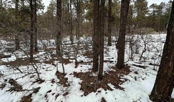 226 Elk Dr, Bayfield, CO 81122