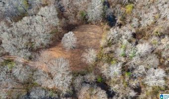 BRUSH CREEK DRIVE, Akron, AL 35441