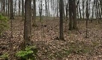 County Road 197, Athens, TN 37303
