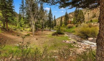 340 County Road 54, Almont, CO 81210