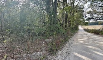 85 Th St, Bell, FL 32619
