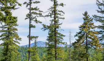477 Chief Cliff Trl, Bigfork, MT 59911