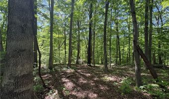 55 Shores Ln, Bedford, IN 47421