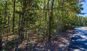 Castle Drive, Batesville, AR 72501