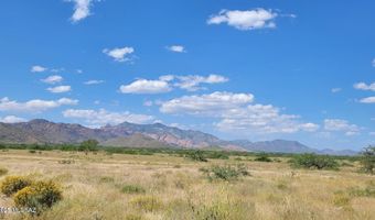 10 Ac W Trigger Ln, Cochise, AZ 85606