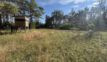 5280 Cathro Rd, Alpena, MI 49707