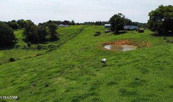 Promiseland Road, Blaine, TN 37709