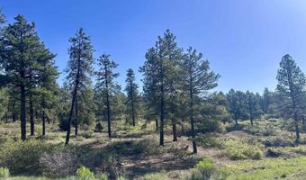 782 Hawks Meadow Dr, Bayfield, CO 81122