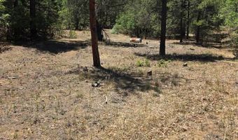 17775 County Road 51, Boncarbo, CO 81024