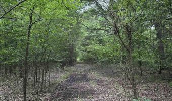 HWY 64, Augusta, AR 72006