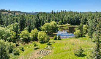784 Twin Rivers Rd, Athol, ID 83801