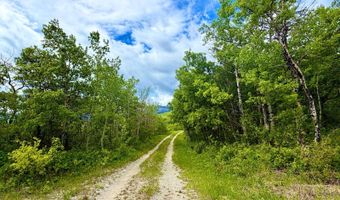 Lot 8 Arlie Tract, Babb, MT 59411
