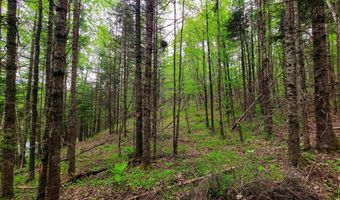 5897 VT-102, Bloomfield, VT 05905