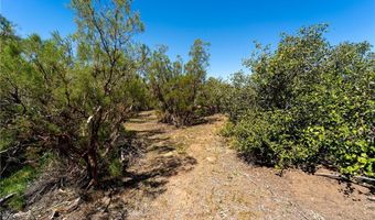 44590 Chapman Rd, Anza, CA 92539