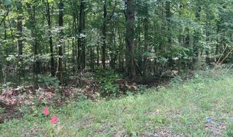 Lot 1069 Iron Gate Drive, Baneberry, TN 37890