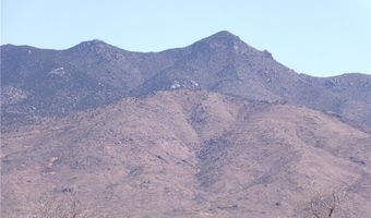 8933 Accra Dr, Chloride, AZ 86431
