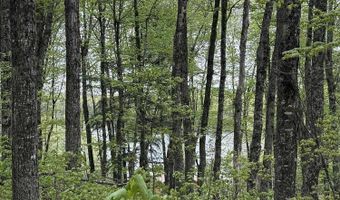 161 Porter Lk, Amasa, MI 49903