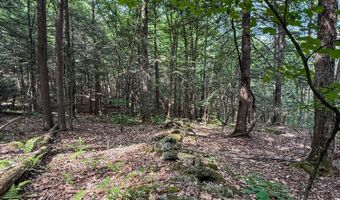 Deer Run lot 35, Becket, MA 01223