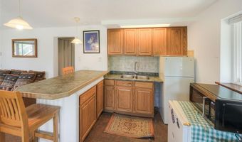 99 Bearing Tree Rd, Breckenridge, CO 80424