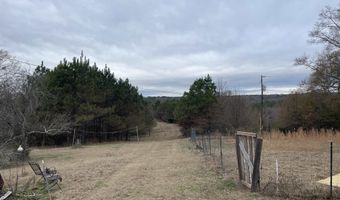 34655 Co Rd 49, Beaverton, AL 35544