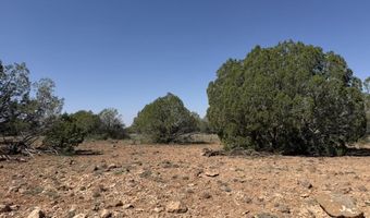 W26 Prairie Dog Road, Ash Fork, AZ 86320