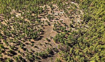 N2147, Alpine, AZ 85920