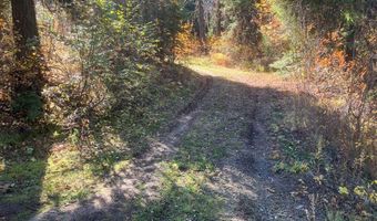 541 W Mountain Rd Lot 58, Cascade, ID 83611