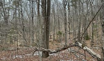 10-3 18 Myrtle St, Campton, NH 03223
