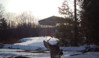 22 Monument Rd, Abbot, ME 04406