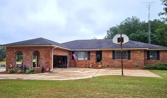 290 Long Rd, Bainbridge, GA 39817