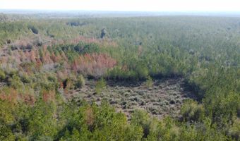 NW Church Road, Altha, FL 32421