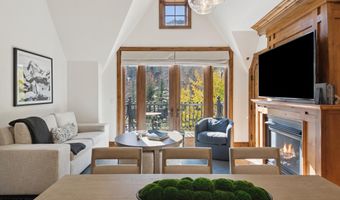 415 E Dean St. # 32 Wk 9, Aspen, CO 81611