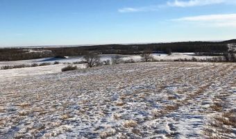S1/2 SW1/4 8-162-74 & NW1/4 SW1/4 8-162-74, Bottineau, ND 58318
