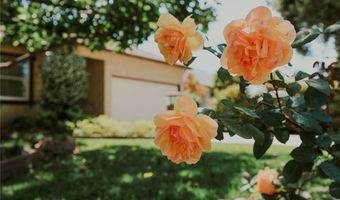 38 W Pamela, Arcadia, CA 91007