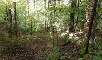 Anding Oil City Road, Bentonia, MS 39040