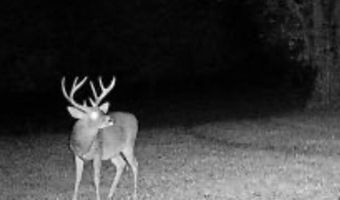 0 Hwy 14, Aliceville, AL 35442