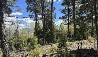 Lots 16 Lot17 Palo Flechado Ridge Road, Angel Fire, NM 87710