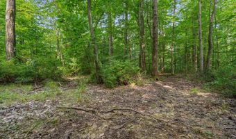 1125 39th St, Allegan, MI 49010