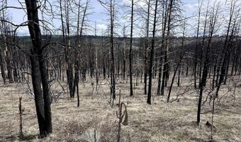 Wren Dr Lot 11, Bonanza, OR 97623