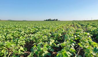 TBD Hwy 14, Allison, IA 50602