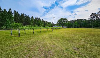2986 Old Buckhead Rd, Branchville, SC 29432