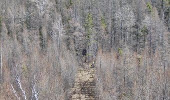 5280 Cathro Rd, Alpena, MI 49707