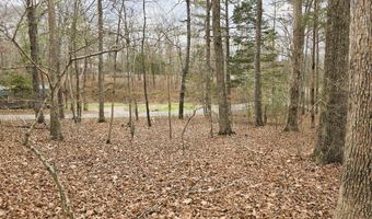 Ramblingwood Dr, Big Sandy, TN 38221