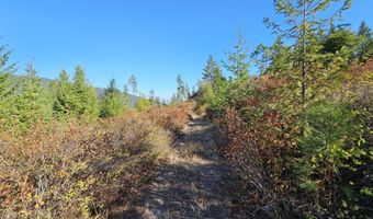 25 XX BURGESS Rd, Addy, WA 99101