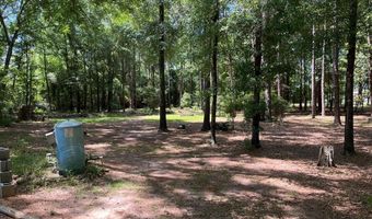 115 Carter Ridge Rd, Abbeville, AL 36310