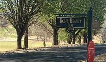 0 Rome Beauty Ln, Clarkesville, GA 30523